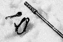 PARK in snow.webp