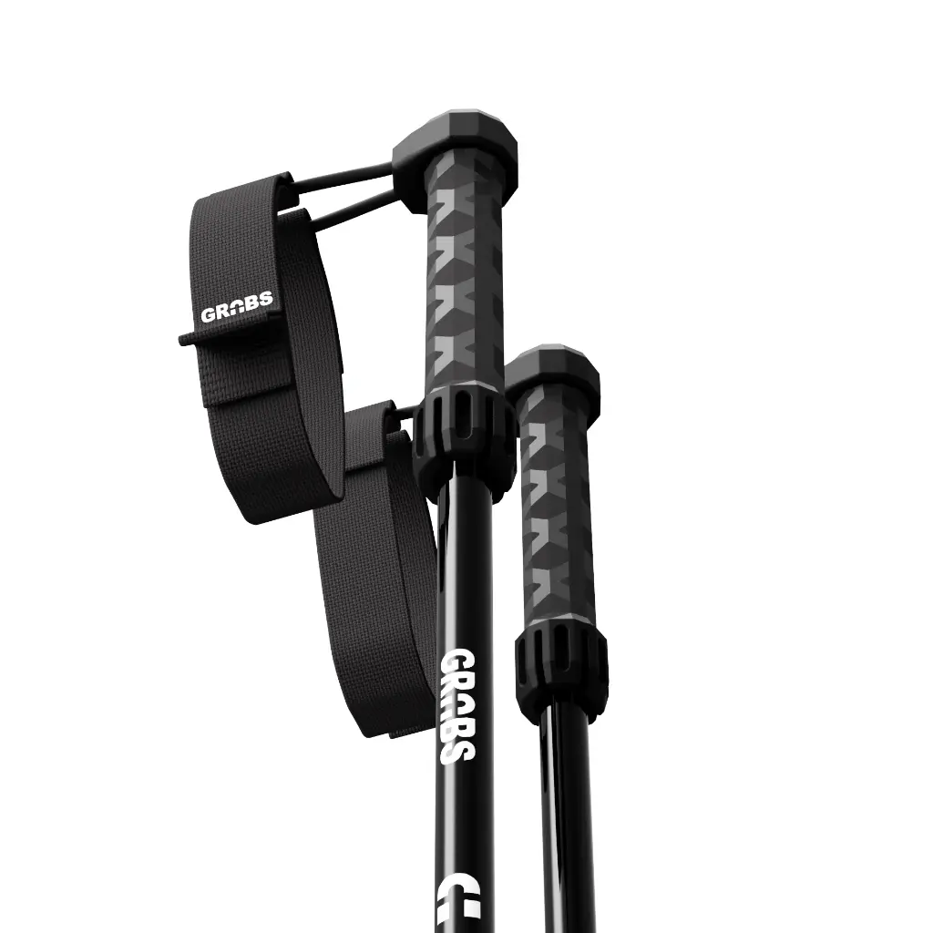 Grabs_Park_v27_Pair_Looking_Up_freeski_ski_poles.webp